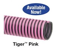 Tiger-Pink